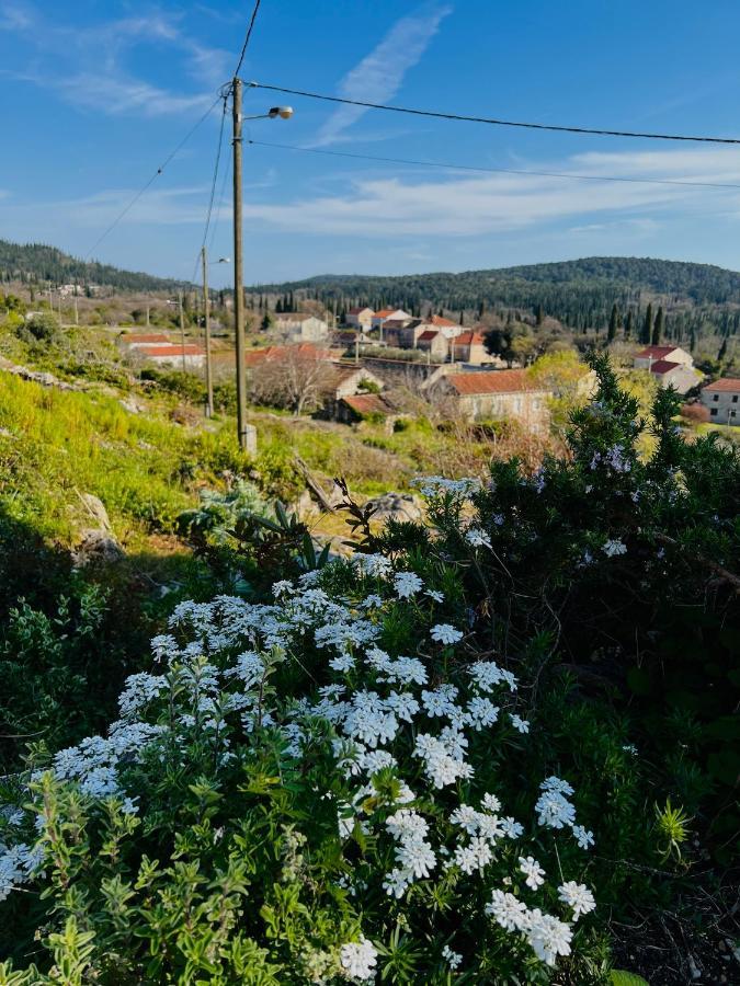 Country House Bakicevo Villa Cilipi Exterior photo